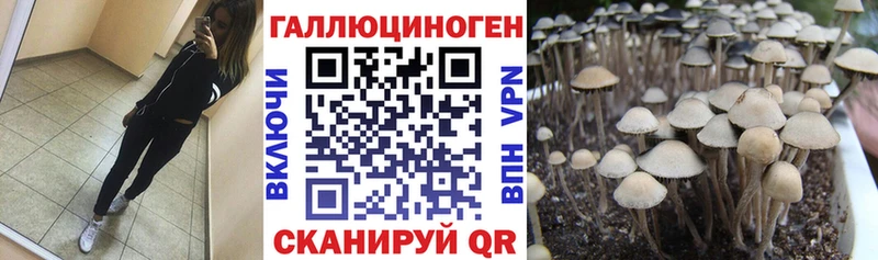 Галлюциногенные грибы Magic Shrooms  наркота  Спасск 